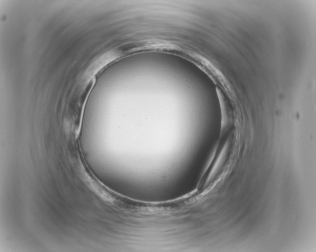 X0000087521281200705111957