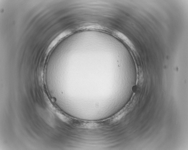 X0000087521282200705111957