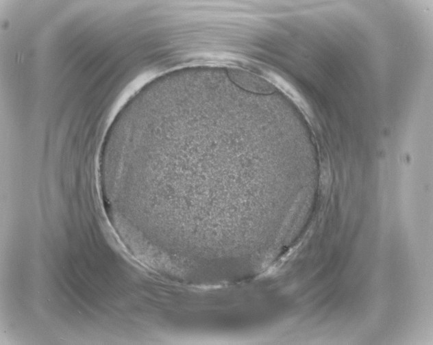 X0000087521283200705111957