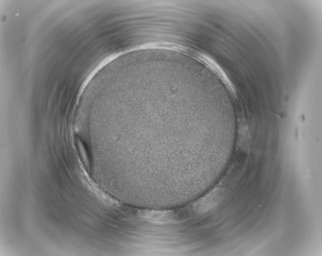 X0000087521284200705111957