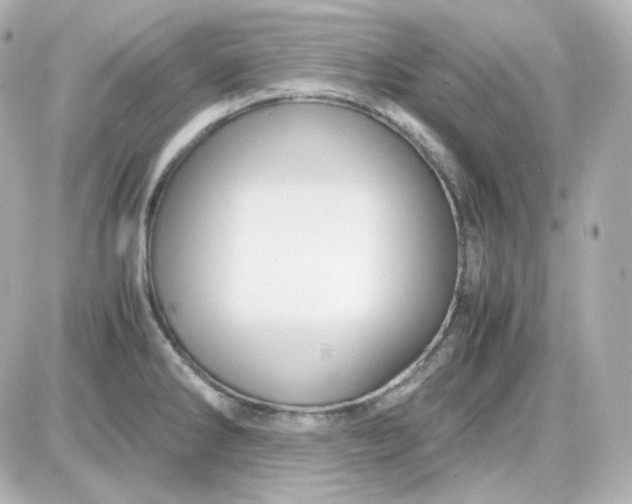 X0000087521286200705111957