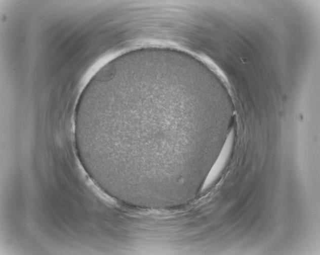 X0000087521287200705111957