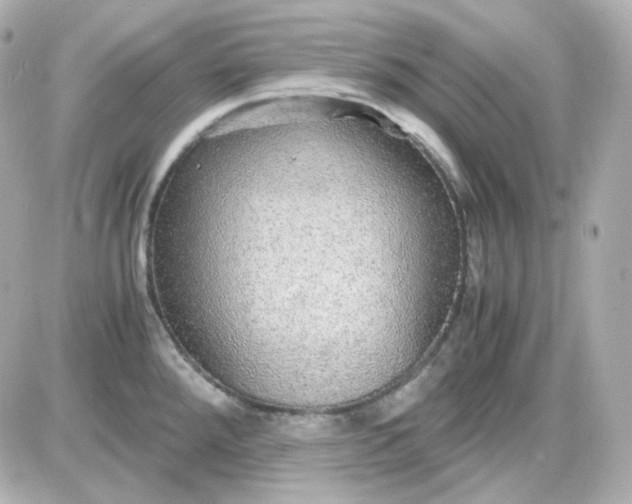 X0000087521288200705111957