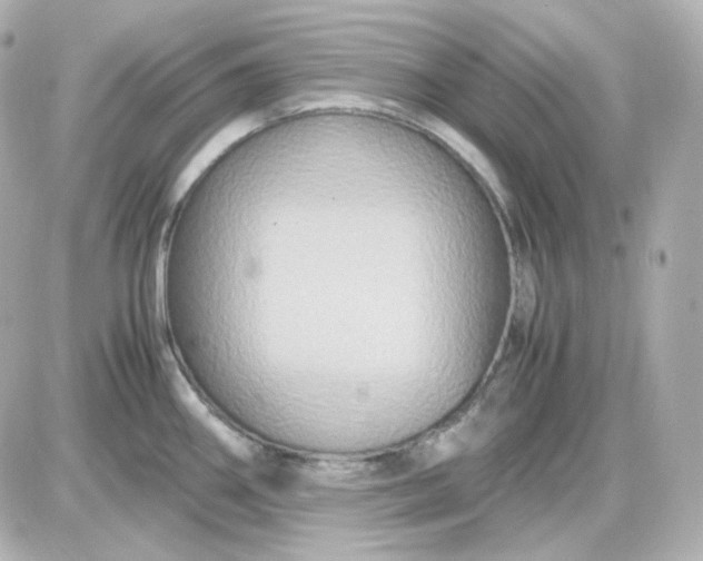 X0000087521290200705111957