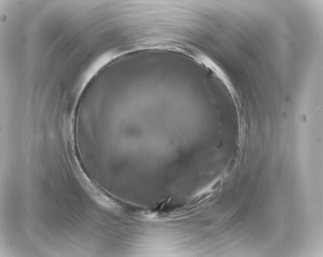 X0000087521291200705111957