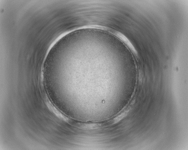 X0000087521292200705111957