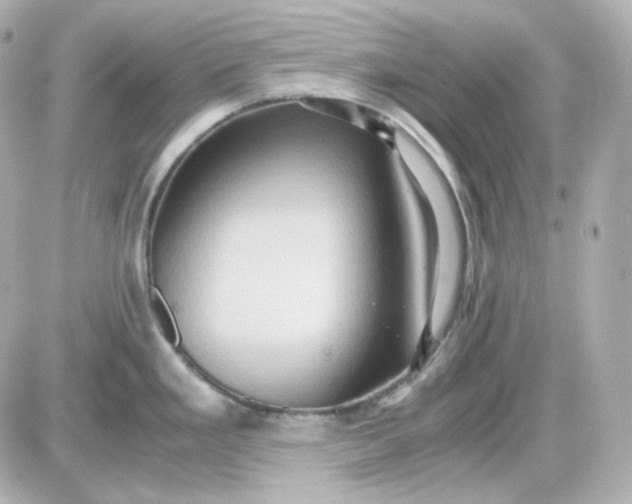 X0000087521293200705111957