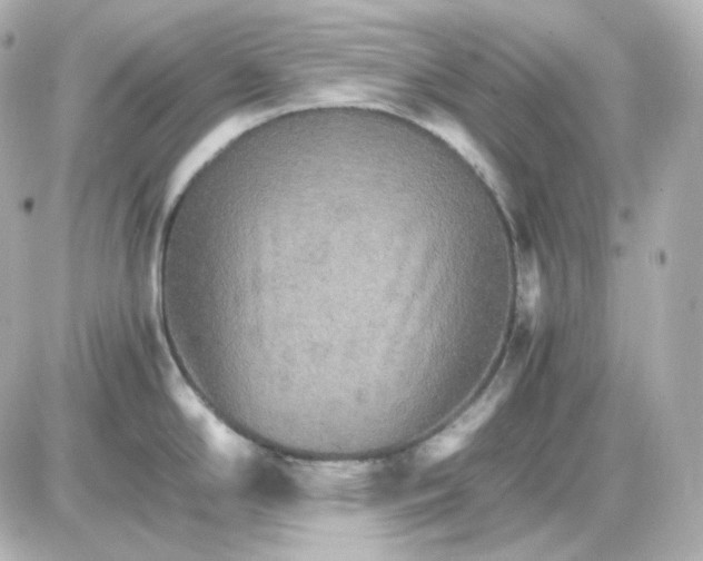 X0000087521294200705111957