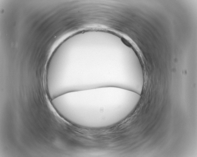 X0000087521295200705111957