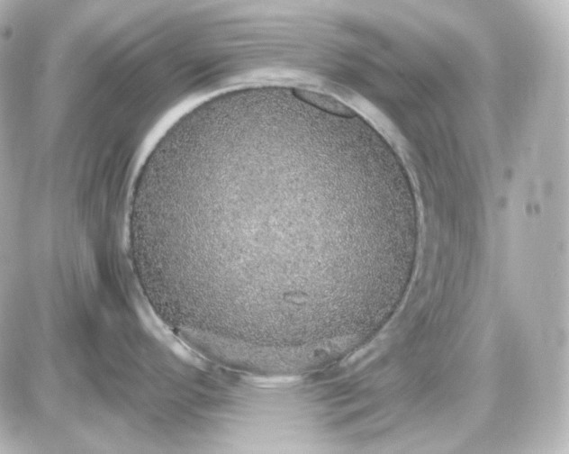 X0000087521296200705111957