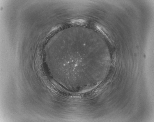 X0000087521297200705111956