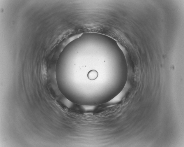 X0000087521298200705111956