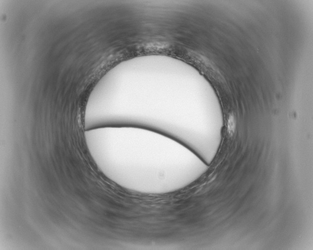 X0000087521299200705111956