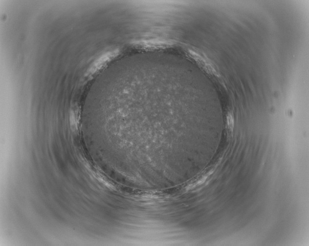 X0000087521300200705111956