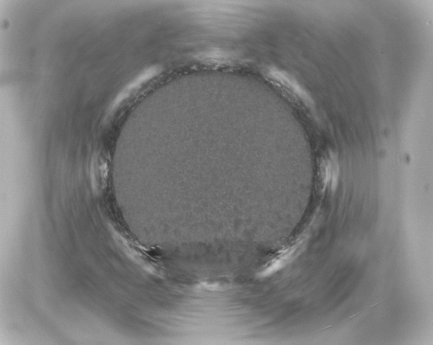 X0000087521302200705111956