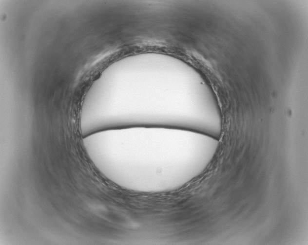 X0000087521303200705111956