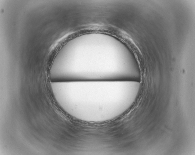 X0000087521304200705111956