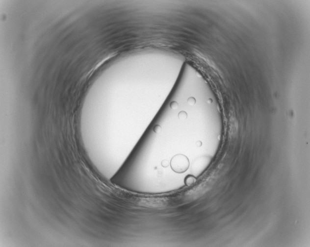 X0000087521305200705111956