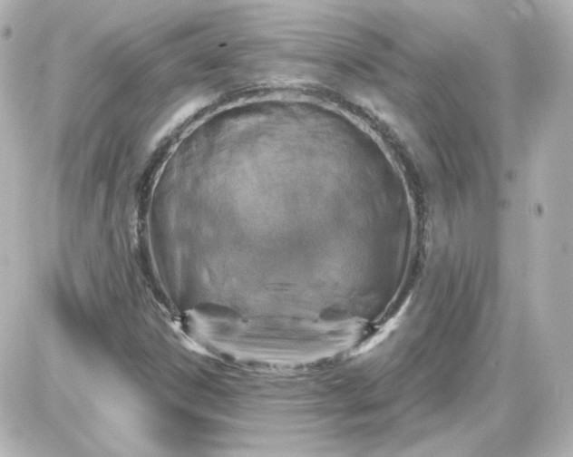 X0000087521306200705111956