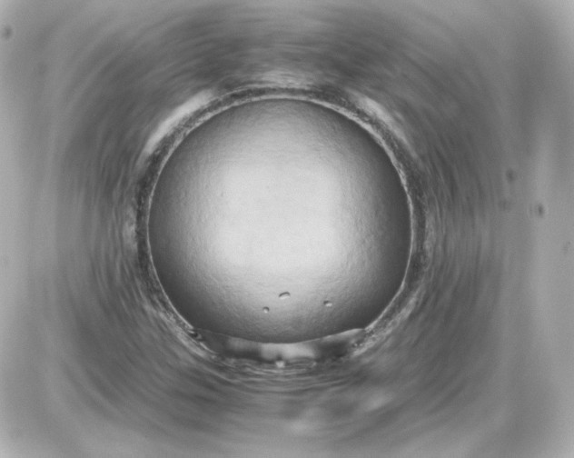 X0000087521307200705111956