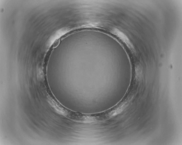 X0000087521308200705111956