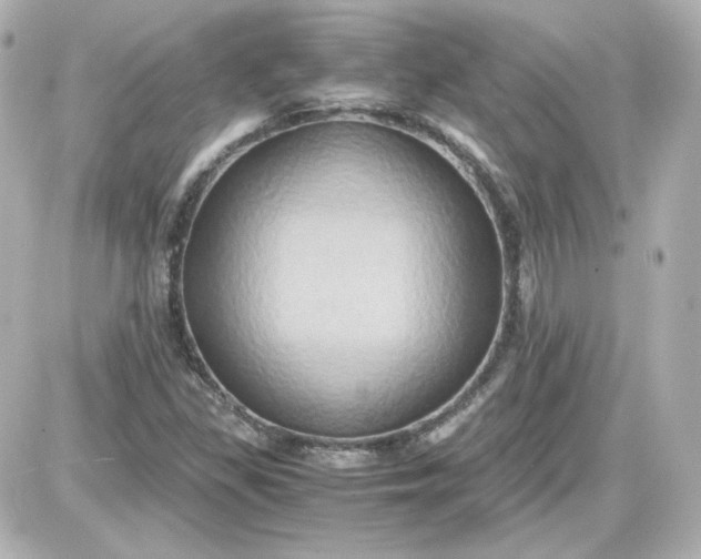 X0000087521309200705111956