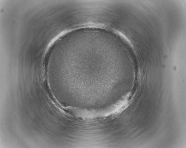 X0000087521310200705111956