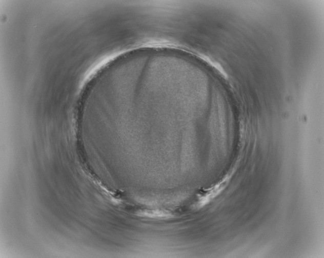 X0000087521311200705111956