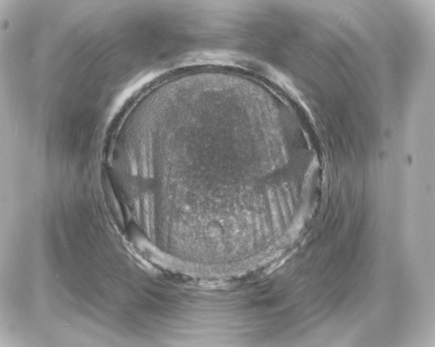 X0000087521312200705111956