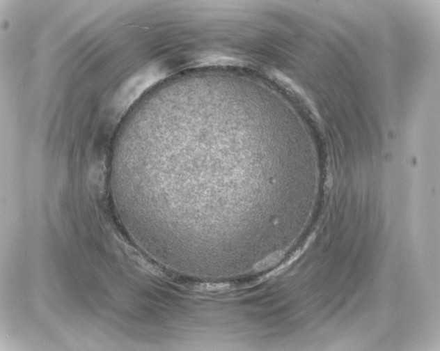 X0000087521313200705111956