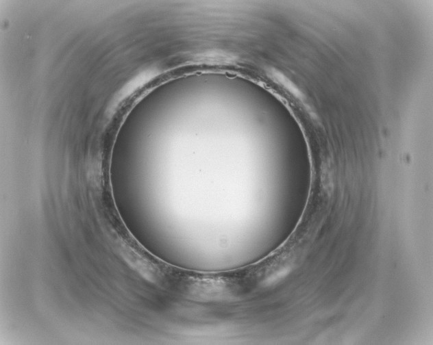 X0000087521315200705111956