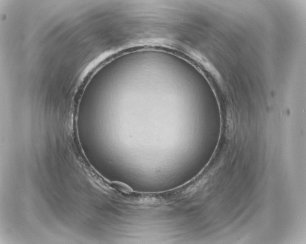 X0000087521316200705111956