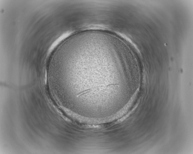 X0000087521317200705111956