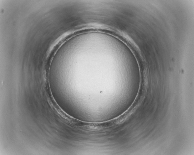 X0000087521318200705111956