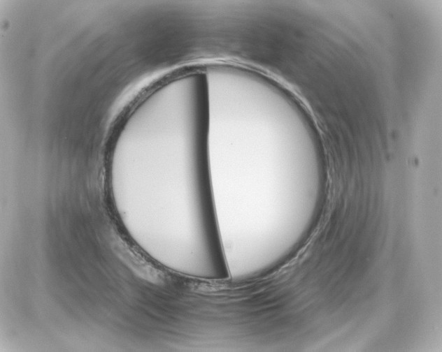 X0000087521319200705111956