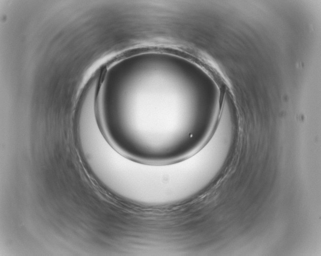 X0000087521320200705111956