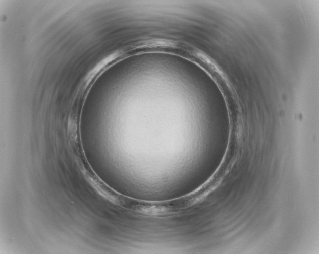 X0000087521321200705111956