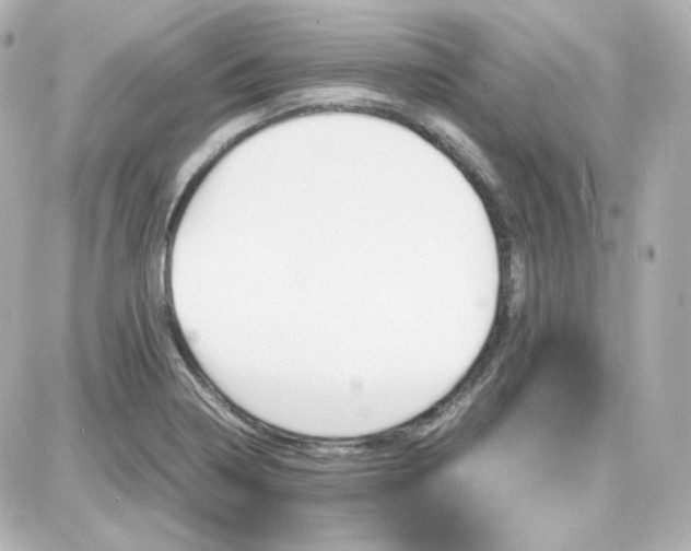 X0000087521322200705111956