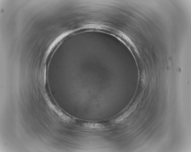 X0000087521323200705111956