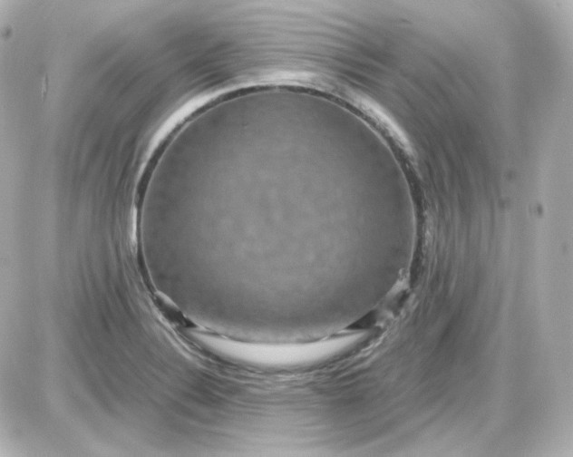 X0000087521324200705111956