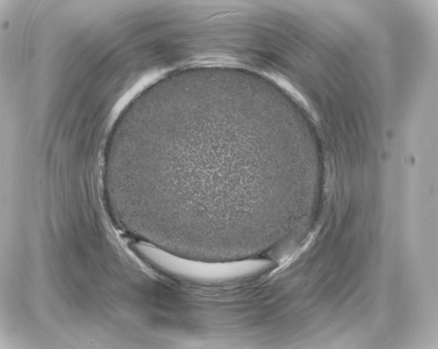 X0000087521325200705111956