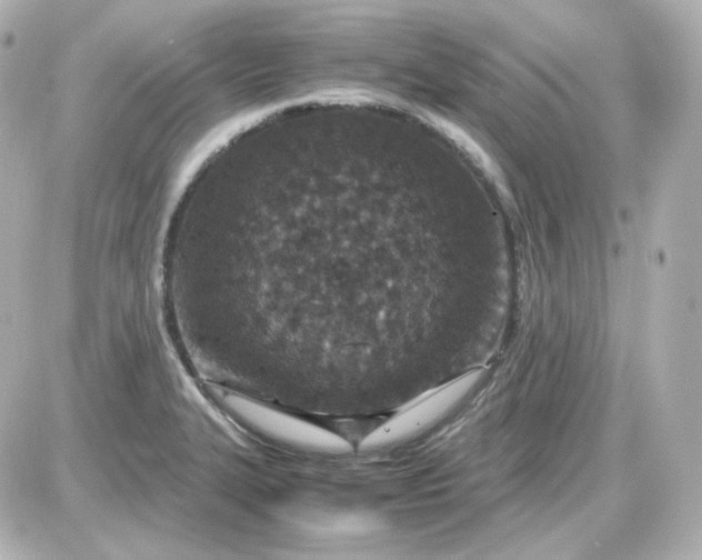 X0000087521327200705111956