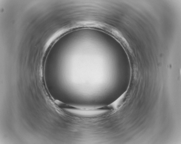 X0000087521328200705111956