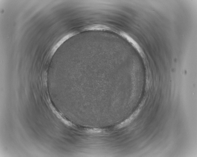 X0000087521329200705111956