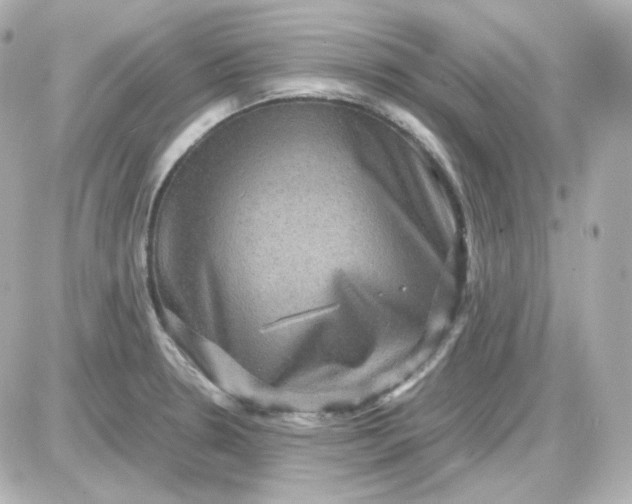 X0000087521330200705111956