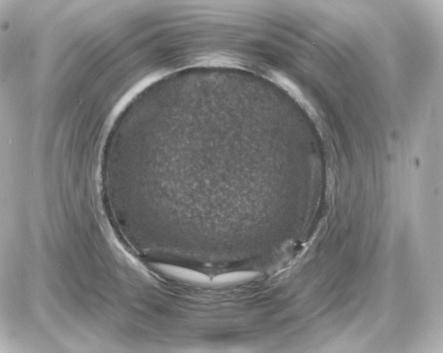 X0000087521331200705111956