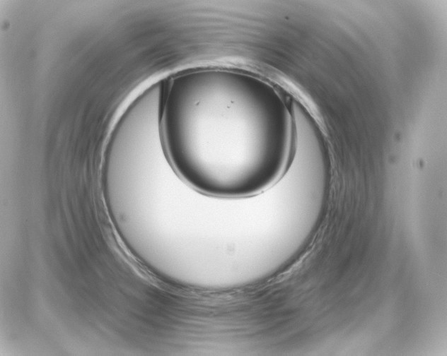 X0000087521332200705111957