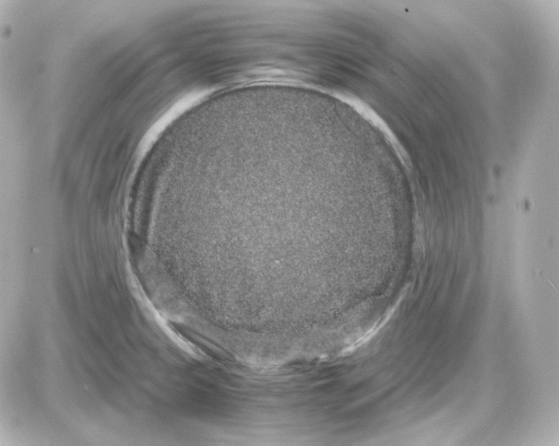 X0000087521333200705111957