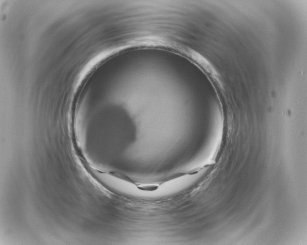 X0000087521334200705111957