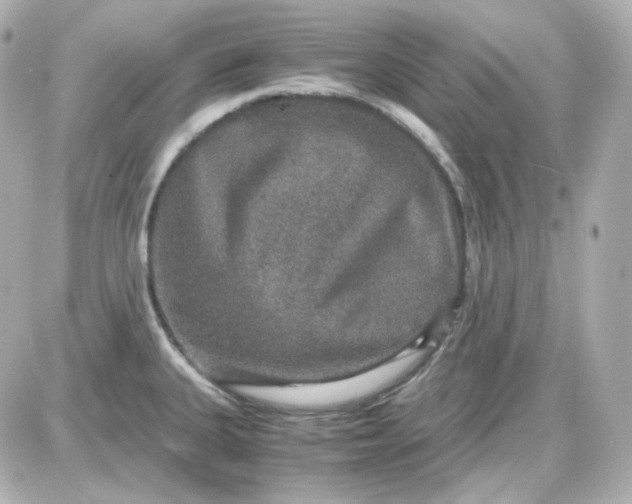 X0000087521335200705111957